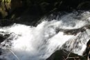 La Savoureuse du Rummel à l'Etang du Petit Haut